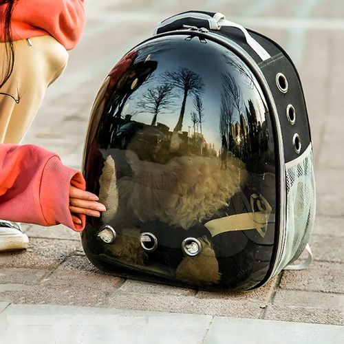 TRANSPORTER PLECAK TORBA PRZEZROCZYSTA DLA KOTA PSA ZWIERZĄT na Arena.pl