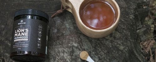 LION'S MANE 10:1 SOPLÓWKA JEŻOWATA 100G SOLVE LABS na Arena.pl