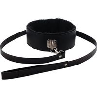 collar with detachable leash
