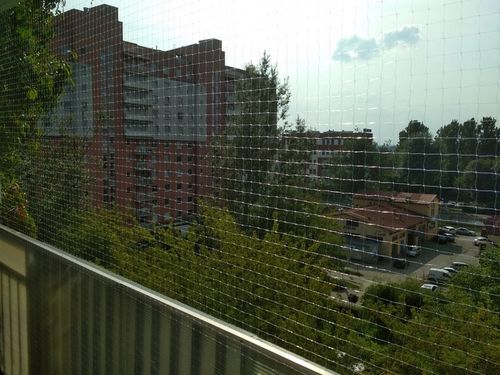 Siatka bezbarwna na balkon przeciw ptakom 5x2 |5x2 na Arena.pl