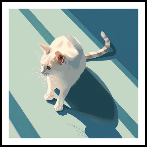 Plakat 60x60cm Kocia Persona na Arena.pl