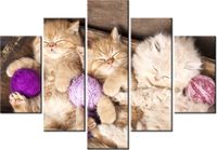 product-compare-58697540