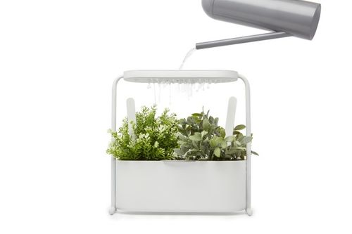 Doniczka Giardino MICROUSBCABLE1 na Arena.pl