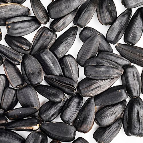 SŁONECZNIK CZARNY PREMIUM Drobny DLA PTAKÓW I NA POPLON ziarno 20KG na Arena.pl