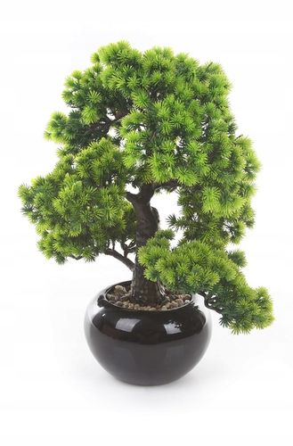 sztuczne drzewko BONSAI LARCH 48x35 modrzew w ceramicznej czarnej doniczce na Arena.pl