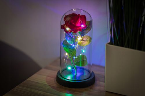 WIECZNA RÓŻA NEW MODEL: NR:8656 na Arena.pl