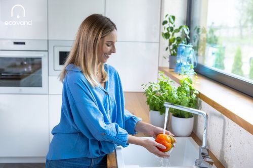 PERLATOR do baterii kuchennej ECOVAND PRO 5 L/MIN M24 do Junkers na Arena.pl