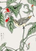 Plakat 40x55cm Tree-Creeper. Kashu Japoński Vintage do Salonu