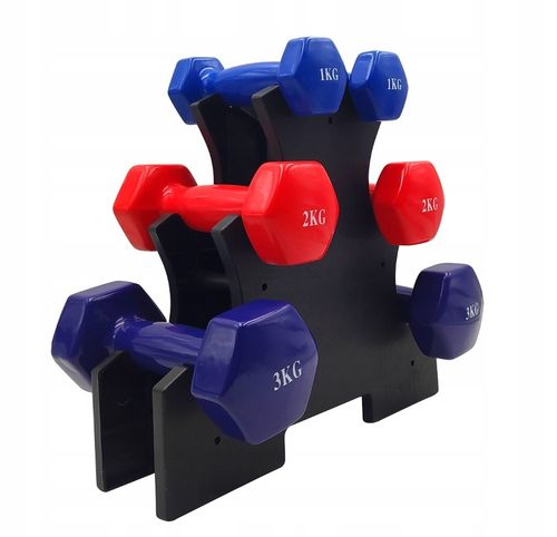 ZESTAW HANTLI DO ĆWICZEŃ HANTLE HANTELKI CIĘŻARKI FITNESS 6szt 12kg STOJAK na Arena.pl