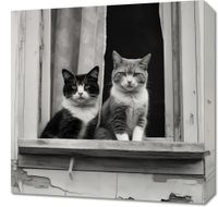 Obraz 50x50cm Para w Oknie