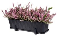 Skrzynka balkonowa doniczka prostokątna z podstawką uchwytami 60cm antracyt