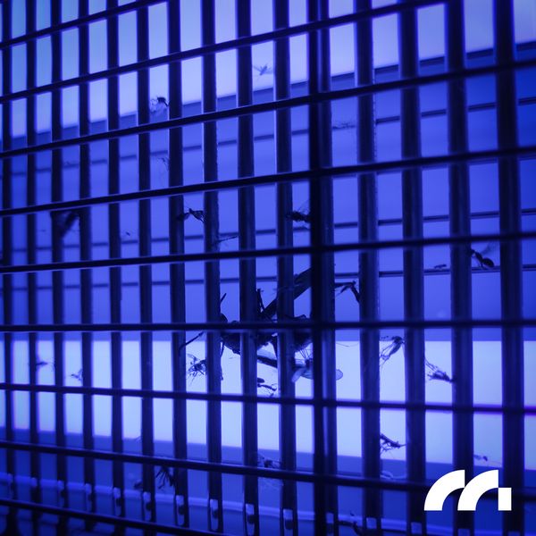 Lampa Owadobójcza 16W MasterKiller16W zdjęcie 12