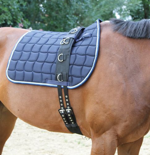 Pas do lonżowania, roz. Pony, Covalliero na Arena.pl