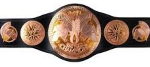 WWE Pas Mistrzowski Tag Team na Arena.pl