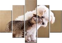 product-compare-58695874