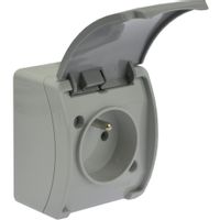 Koala gniazdo pojedyńcze 2P+Z natynkowe popiel z klapką 161-08