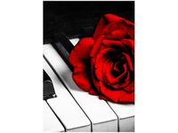 100 70CM OBRAZ PŁÓTNO RÓŻA FORTEPIANIE PŁÓTNO RAMA