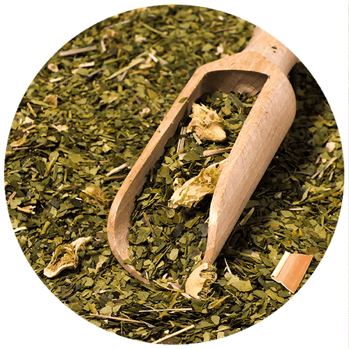 Verde Mate Green Cactus de Juarez 0,5 kg na Arena.pl