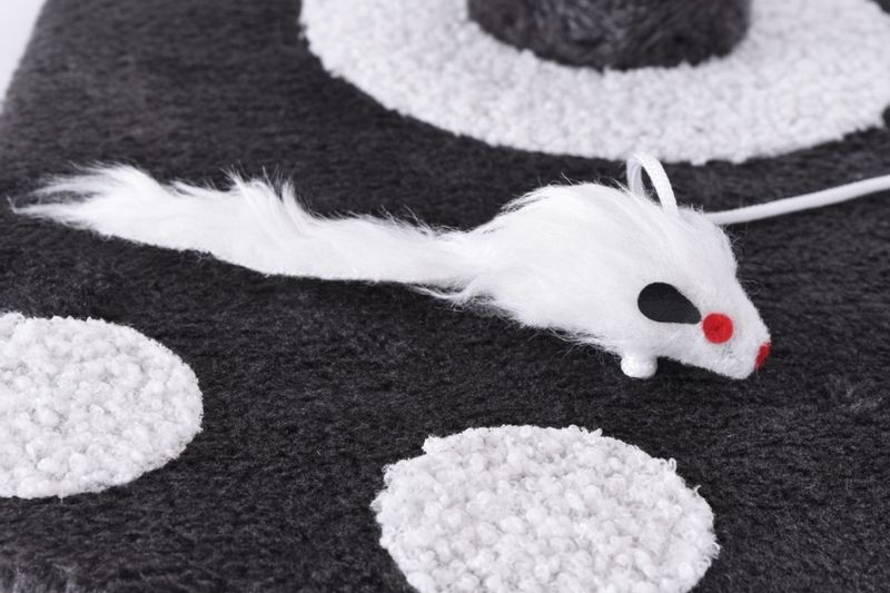 Drapak dla kota TOLEK antracyt zdjęcie 6