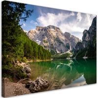 Obraz do salonu sypialni biura, Pejzaż widok góry las 90x60