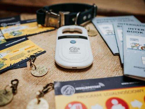 Czytnik do identyfikacji zwierząt PetScan RF-CNT77-B BLUETHOOT na Arena.pl