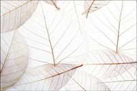 Tło FLAT LAY do fotografii produktowej kulinarnej