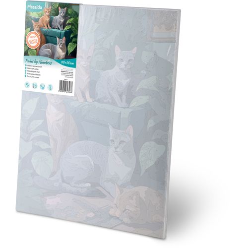 Obraz do malowania po numerach 40x50 cm Massido Koty na Arena.pl