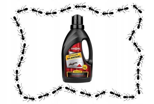SILNY PROSZEK NA MRÓWKI W DOMU I OGRODZIE 1 KG na Arena.pl