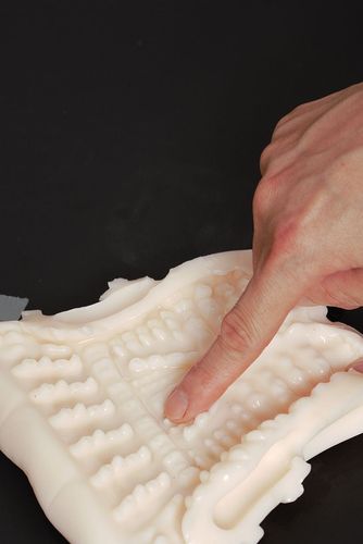 masturbator serii young - enchantress after kiss na Arena.pl