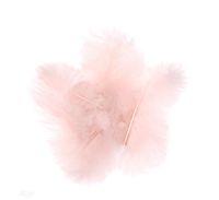 PIÓRA INDYCZE 15CM 5 SZT NUDE CEPI-042 DP CRAFT