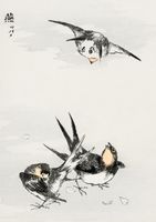 Plakat 21x29,7cm Swallow, Kashu Japoński Vintage do Salonu