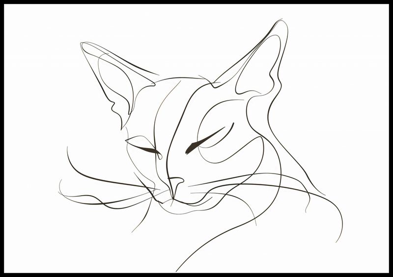 Plakat 100x70cm Linijny Kot zdjęcie 2