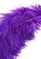 double feather tickler purple