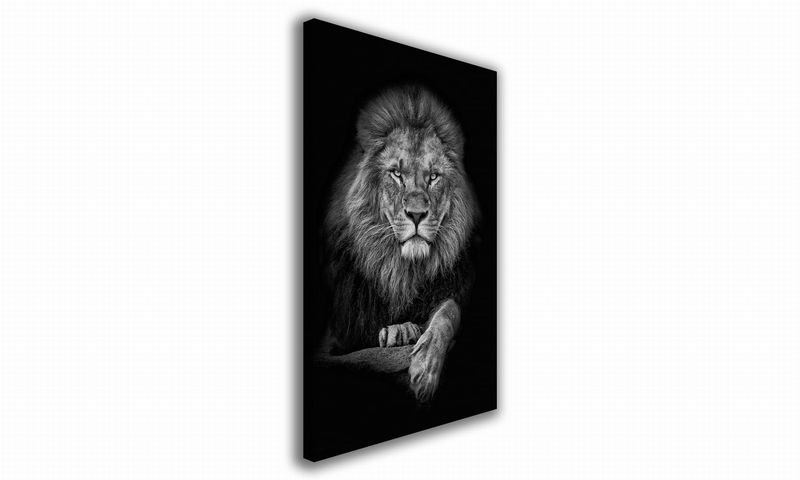 OBRAZ NA PŁÓTNIE 089 Lew 60x90cm zdjęcie 1
