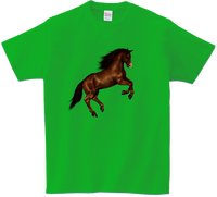 Koszulka T-shirt Konie