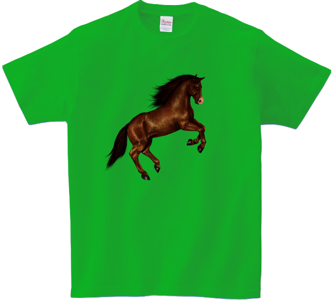 Koszulka T-shirt Konie zdjęcie 1