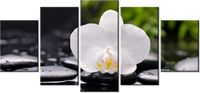 70CM 150CM OBRAZ 5 ELEM BIAŁA ORCHIDEA ŚCIENNY