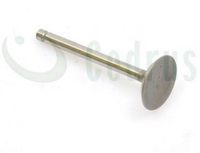 Zawór ssący Robin EX17 CZĘŚĆ ORYGINALNA 0001000341