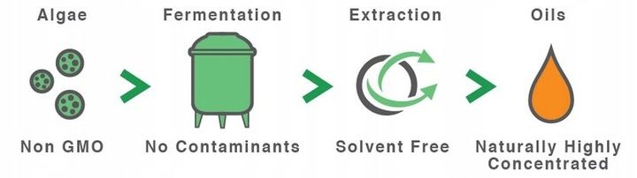 Aliness Vegan Omega 3 FORTE DHA 500mg SERCE 60kap zdjęcie 9