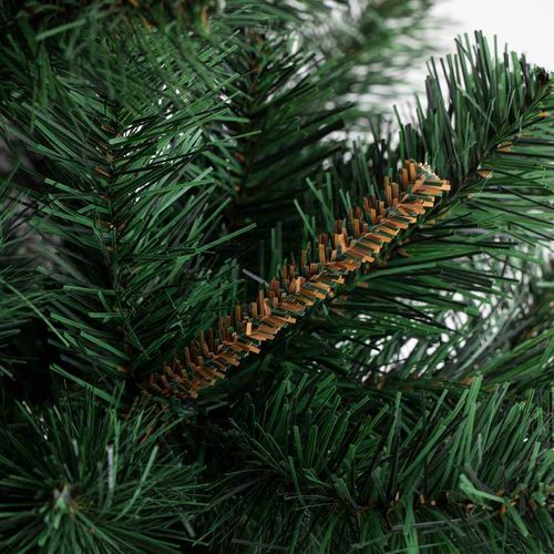 CS/JODŁA/WIERA/180 na Arena.pl