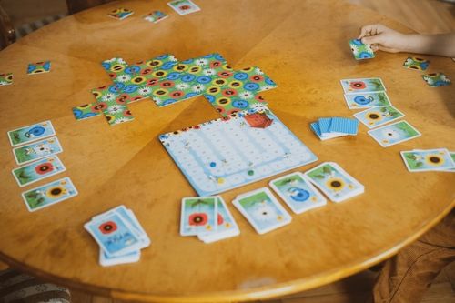 Wyścig po nektar na Arena.pl