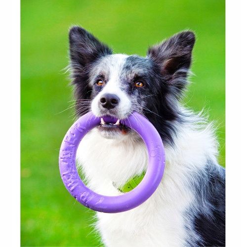 Szarpak dla psa PULLER midi 19,5 cm ring 2 szt. dla średnich ras psów zdjęcie 12