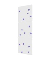 ścianka wspinaczkowa biała  + chwyty fioletowe MALPISZON.PL