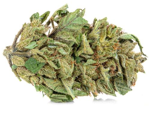 Susz konopny Amnesia Haze CBD PREMIUM 2g na Arena.pl