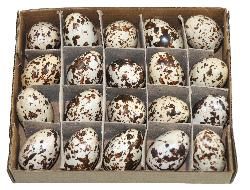 Jajka wielk. plastik 3,6 cm. przepiórcze 20 szt.   WPJ-8965 na Arena.pl