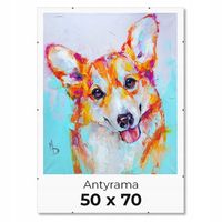 ANTYRAMA plexi na puzzle ok 1000el. plakat - 50x70