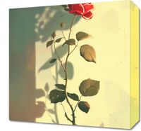 product-compare-59506169