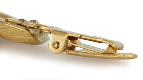 Chihuahua - klips - 1015 na Arena.pl