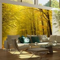 Fototapeta - Droga przez jesienny las 200x154