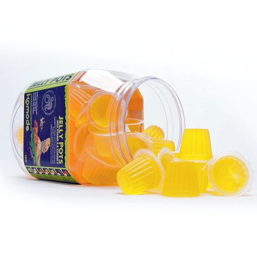 Komodo Jelly Pot Classic na Arena.pl